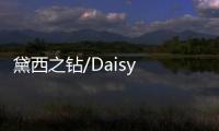 黛西之钻/Daisy Diamond